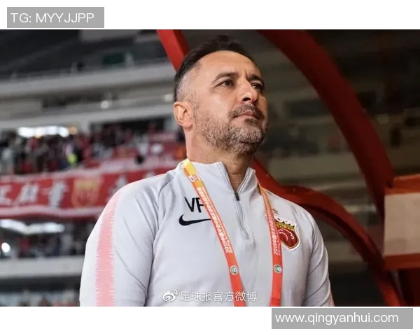 足球明星佩雷拉高清照片欣赏与生平介绍尽在这里