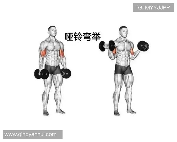 全面解析哑铃锻炼方法图解视频助你轻松打造完美身材与健康生活